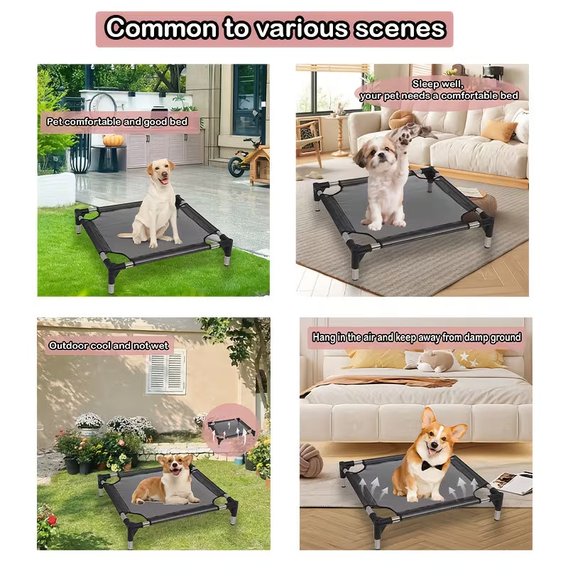 Cooling Bed Suitable for Small/Medium/ Dogs, Chew