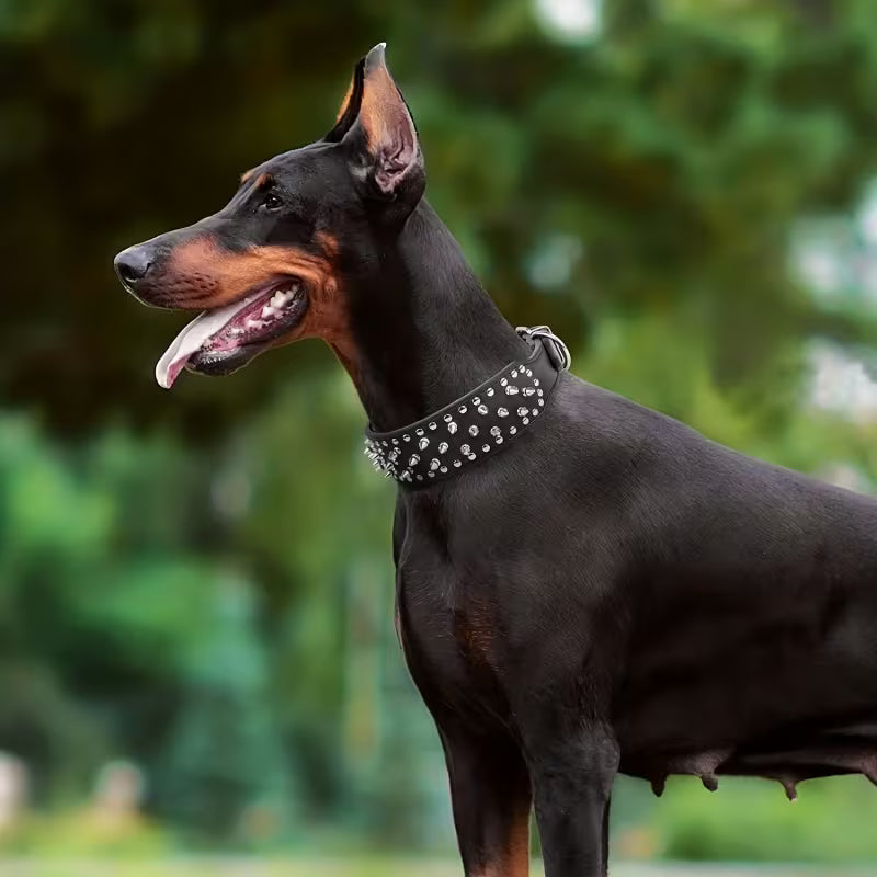 Personalized Anti-Chew PU Dog Collar