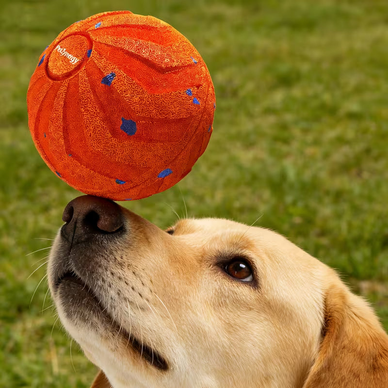 This Smart Dog Toy Ball Features Automatic Movement,
