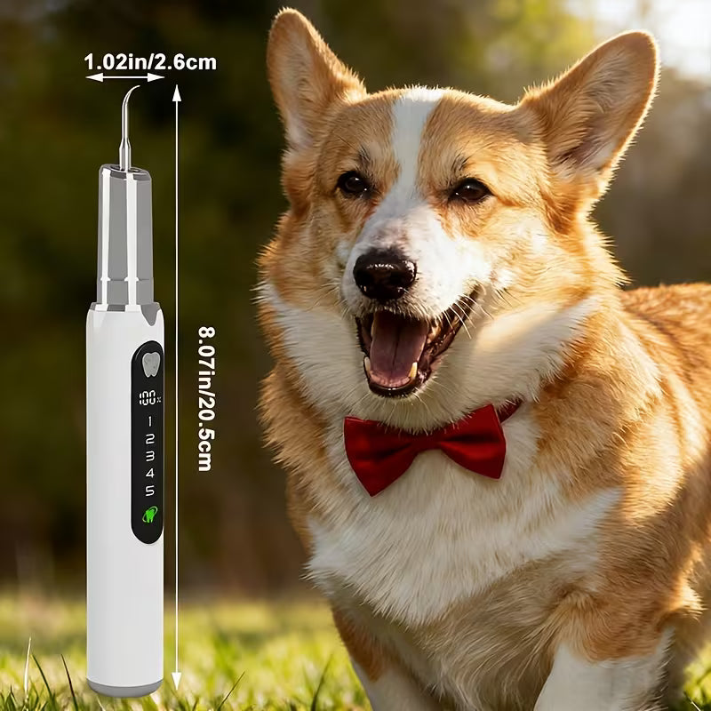 Pet Electric Dental Cleaning Kit – 5-Speed Plaque & Tartar Cleaner