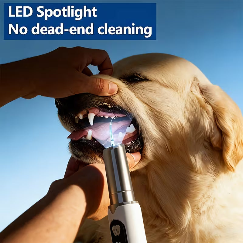 Pet Electric Dental Cleaning Kit – 5-Speed Plaque & Tartar Cleaner