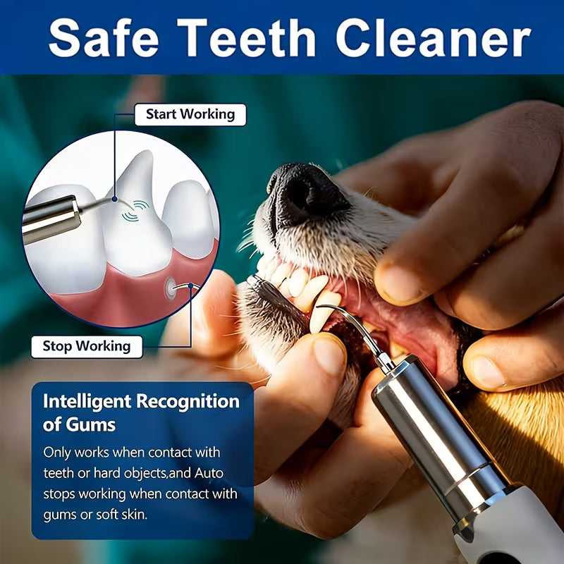 Pet Electric Dental Cleaning Kit – 5-Speed Plaque & Tartar Cleaner