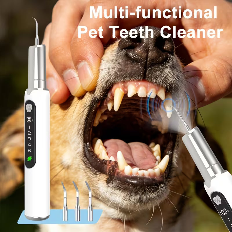 Pet Electric Dental Cleaning Kit – 5-Speed Plaque & Tartar Cleaner
