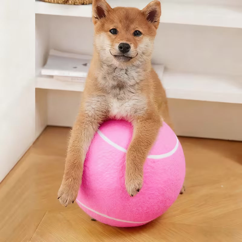 Large 9.45in Inflatable Tennis Ball Dog Toy with Pump – Pink