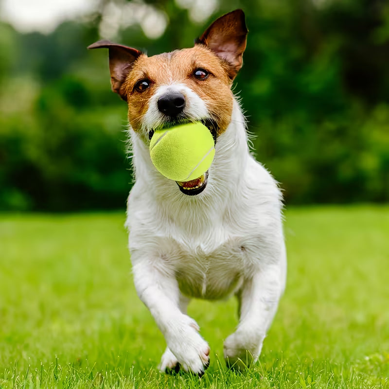 5pcs/8pcs/14pcs Dog Toy Balls, 1.97 Inch & 2.56 Inch, Chew-Resistant Dental Pet Toys