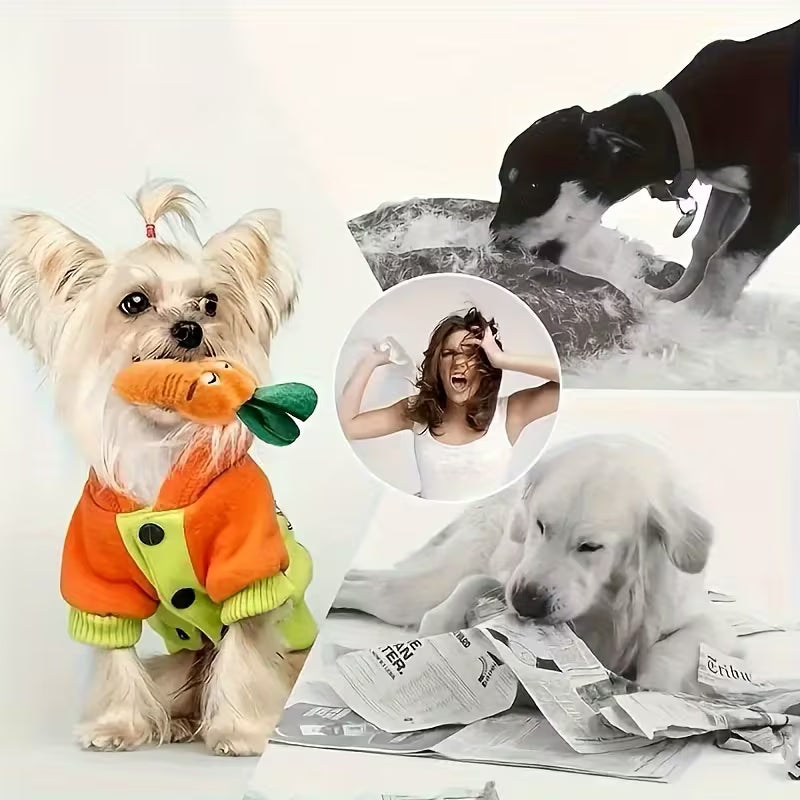 16pcs Cute Plush Squeaky Dog Toys – Soft Small Pet Chew Toys