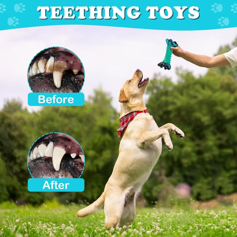 Durable Nylon Dog Chew Toy – Tough Bone for Aggressive Chewers