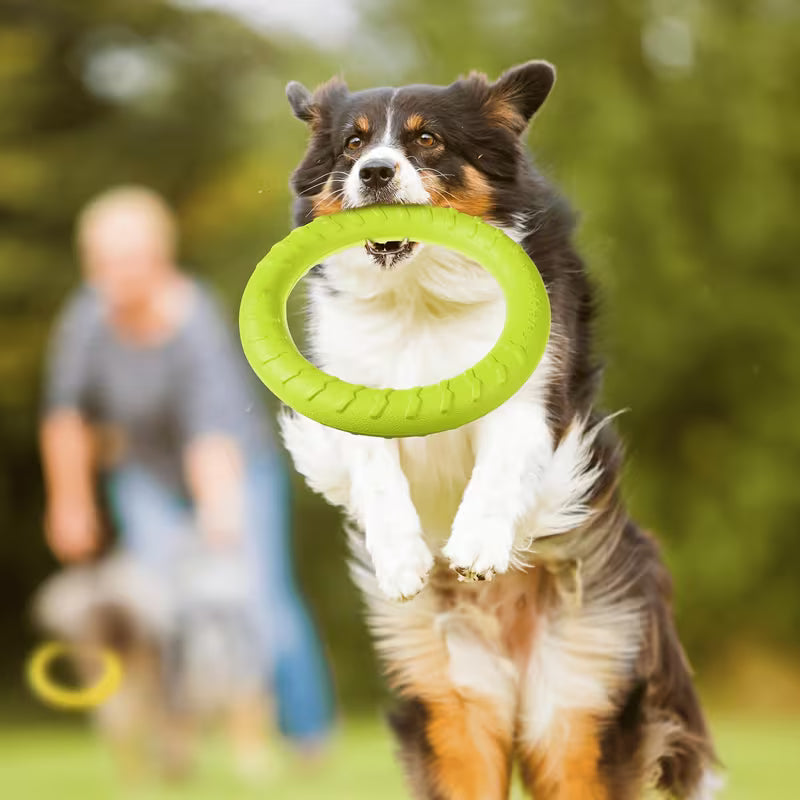 4pcs 7.48" Dog Ring Toys – Durable Chew & Fetch Training Toys