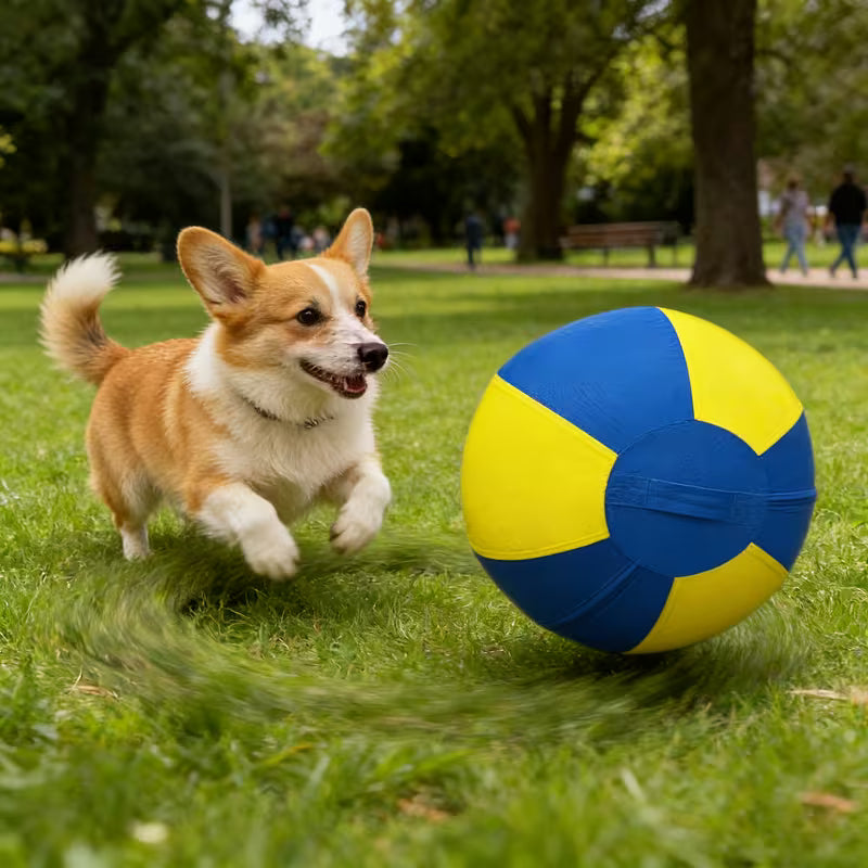 large dog interactive fetch ball, quick inflation, with handle and shoulder strap