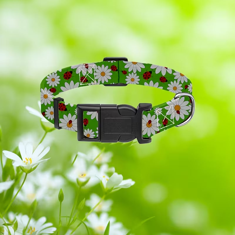 4-Piece Pink Floral Dog Collar Set – Adjustable Small Dog Collars