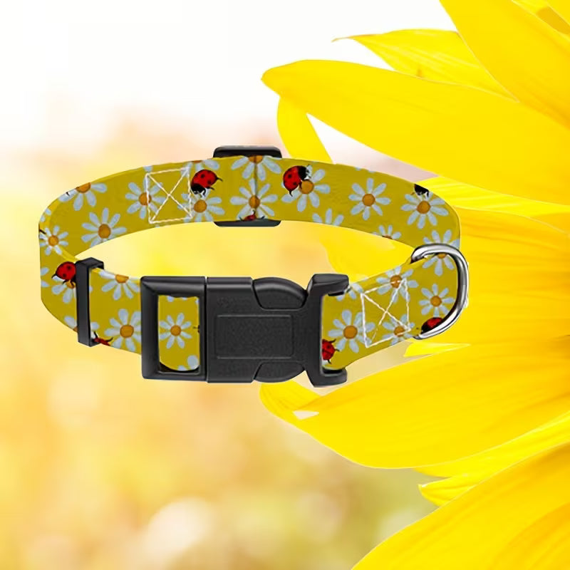 4-Piece Pink Floral Dog Collar Set – Adjustable Small Dog Collars