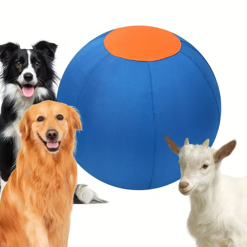 Dogs, Including Interactive Outdoor Toys Like Inflatable Balls for Training.