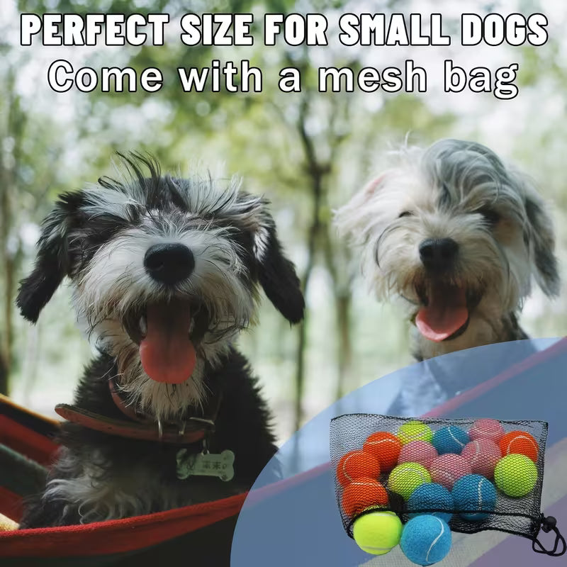 2-Inch Tennis Training Balls – 12/24 Pack