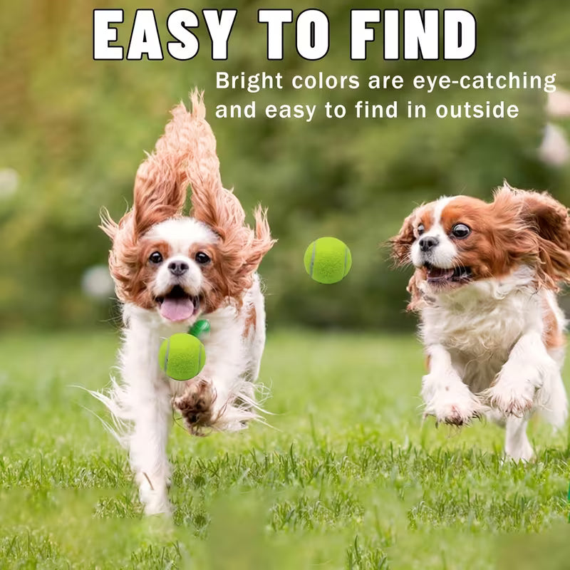 2-Inch Tennis Training Balls – 12/24 Pack