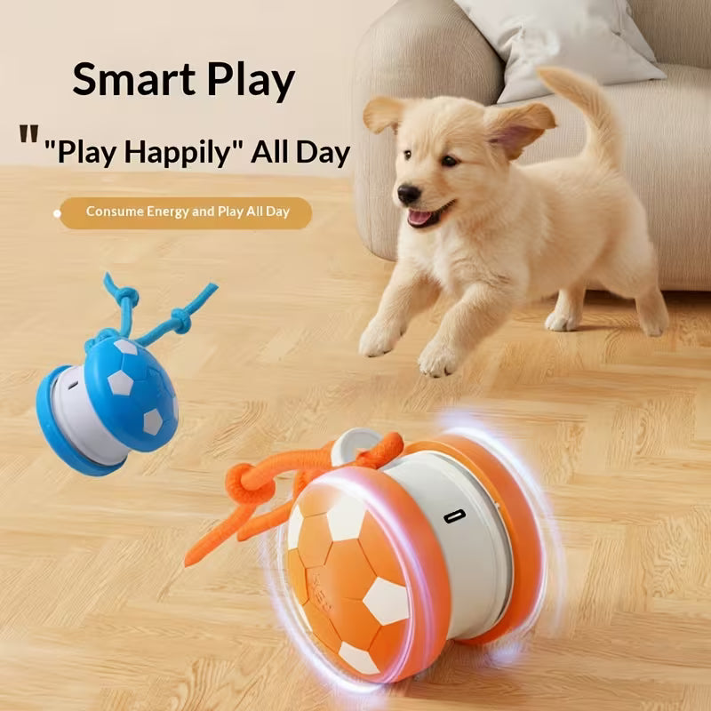 Interactive Cat Toy – USB Rechargeable Rolling Ball & Teaser Toy