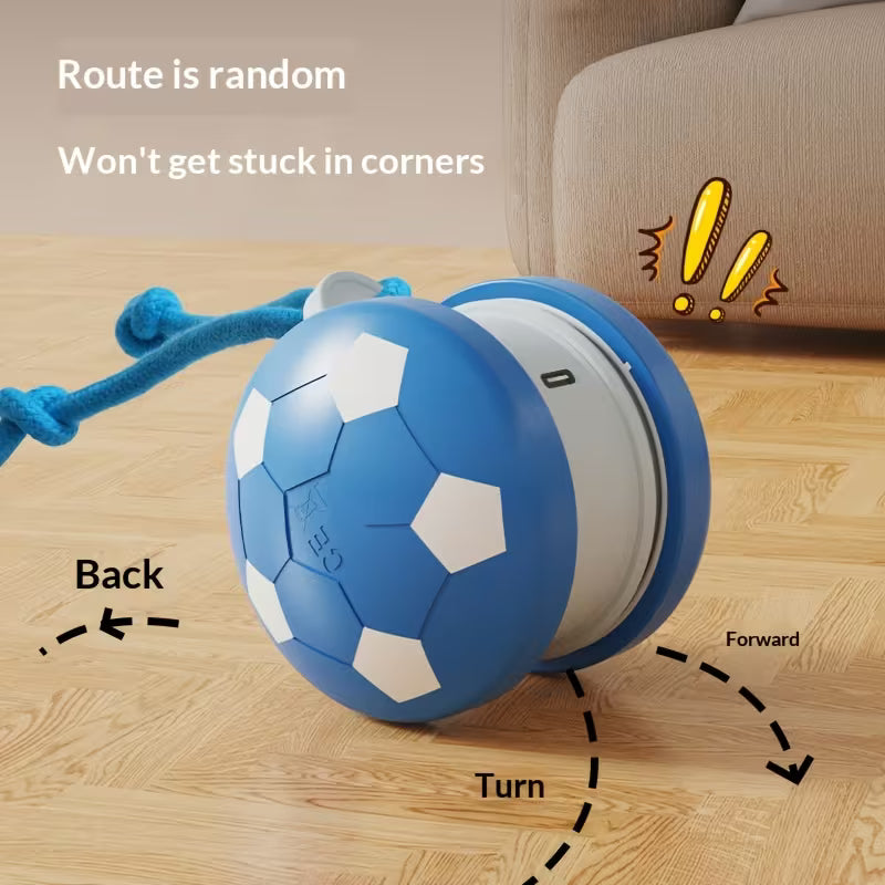 Interactive Cat Toy – USB Rechargeable Rolling Ball & Teaser Toy