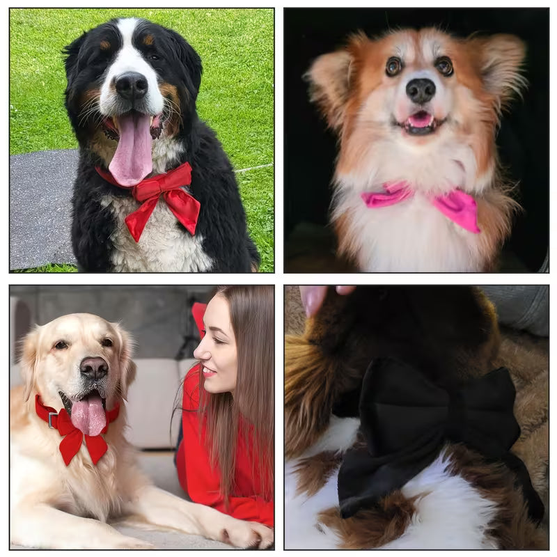 2-Piece Personalized Velvet Dog Collar & Bow Tie Set
