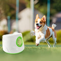 Automatic Dog Ball Launcher – Interactive Fetch Toy for Small & Medium Dogs