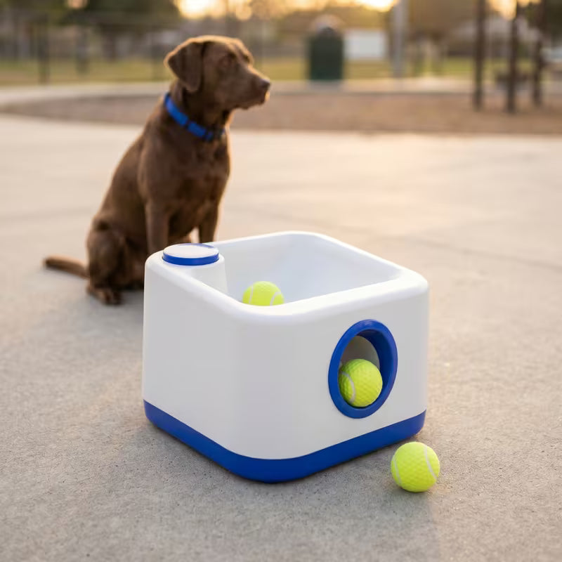 Automatic Dog Ball Launcher – Rechargeable Interactive Fetch Toy