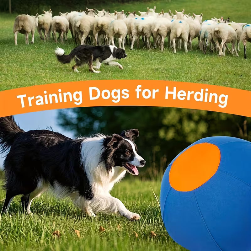 Dogs, Including Interactive Outdoor Toys Like Inflatable Balls for Training.