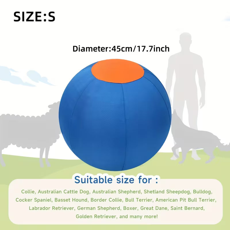 Dogs, Including Interactive Outdoor Toys Like Inflatable Balls for Training.