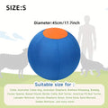 Dogs, Including Interactive Outdoor Toys Like Inflatable Balls for Training.
