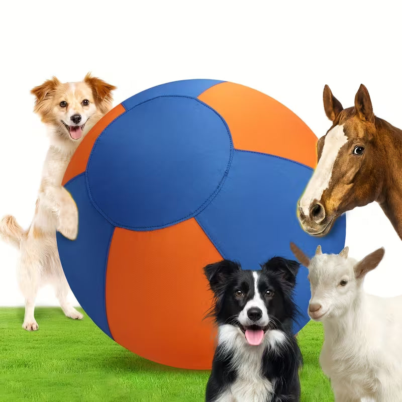 Dogs, Including Interactive Outdoor Toys Like Inflatable Balls for Training.