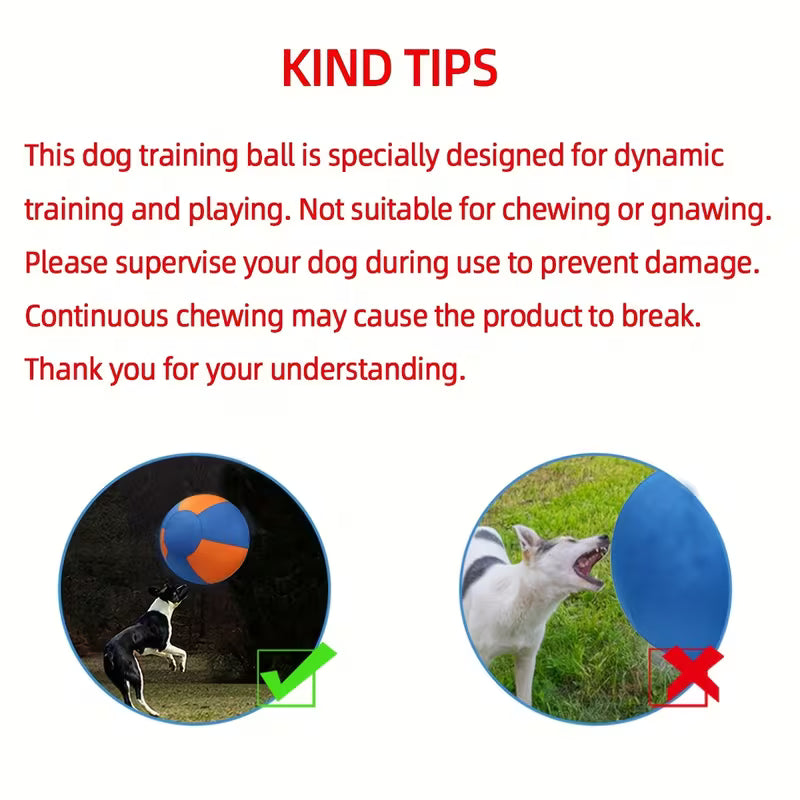 Dogs, Including Interactive Outdoor Toys Like Inflatable Balls for Training.