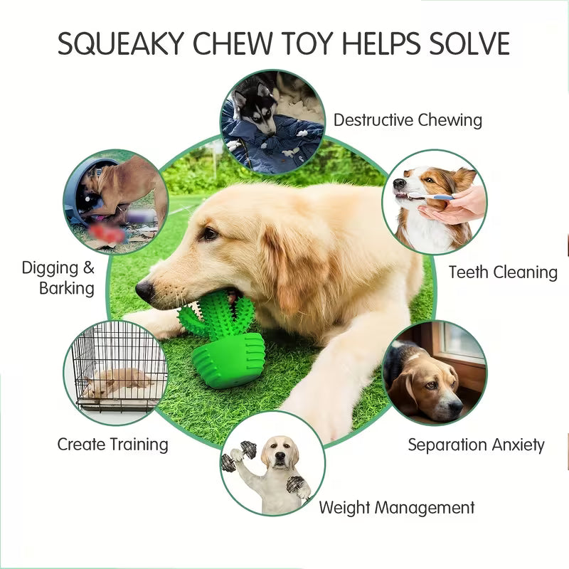 Dog Cactus Chew Toy – Rubber Teething & Dental Cleaning Toy