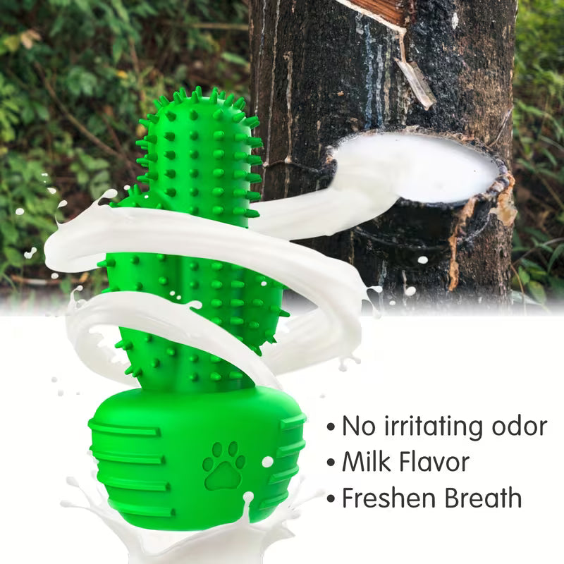 Dog Cactus Chew Toy – Rubber Teething & Dental Cleaning Toy