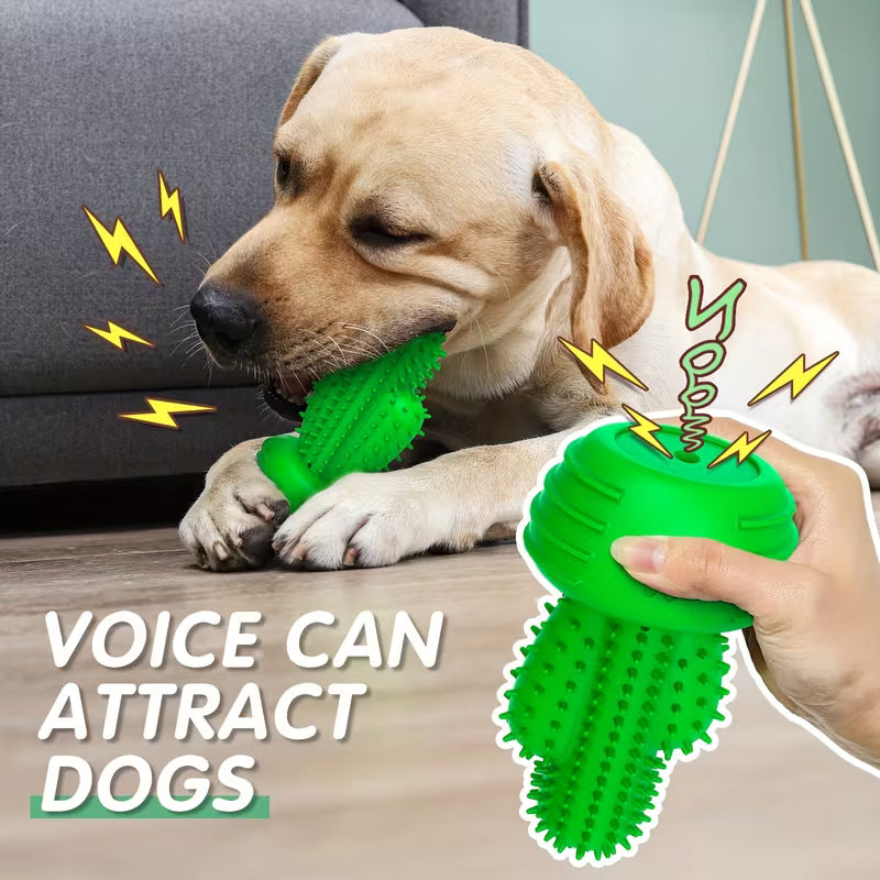 Dog Cactus Chew Toy – Rubber Teething & Dental Cleaning Toy