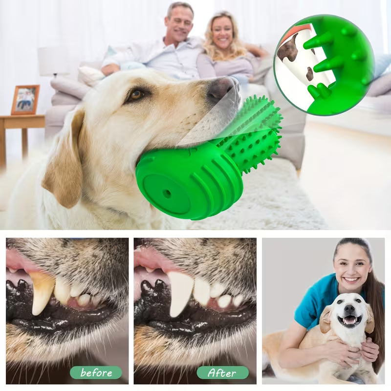 Dog Cactus Chew Toy – Rubber Teething & Dental Cleaning Toy
