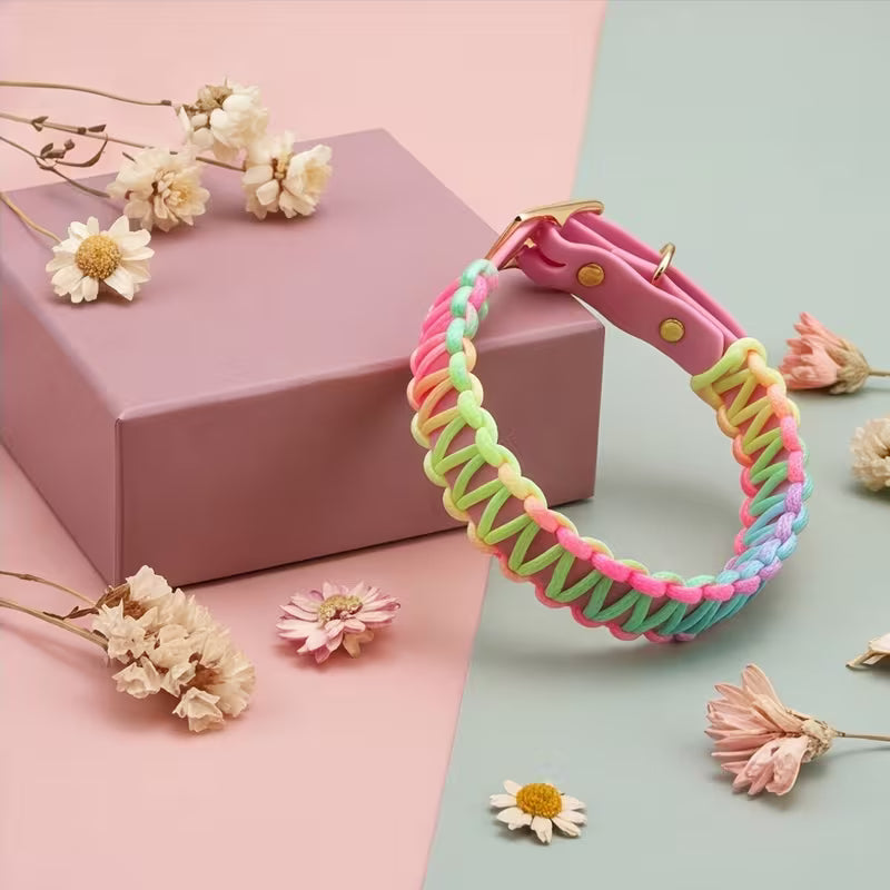 Pastel Rainbow Braided Dog Collar