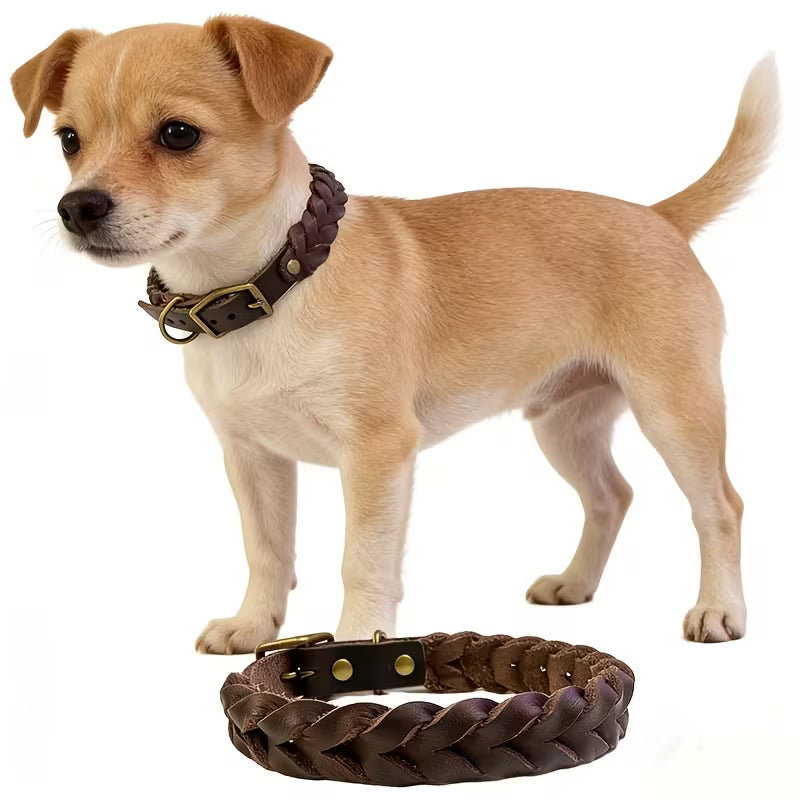 Braided Cowhide Dog Collar with Metal Buckle