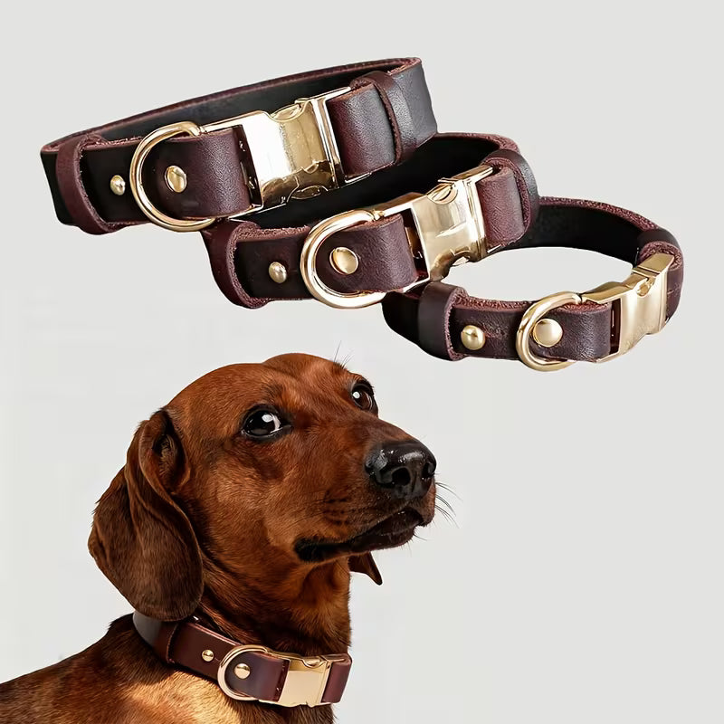 Dog Collar, 3 Sizes for Puppies/Small/Medium Dog,