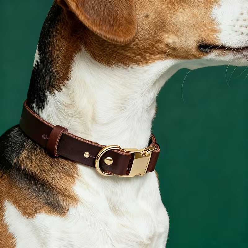 Dog Collar, 3 Sizes for Puppies/Small/Medium Dog,