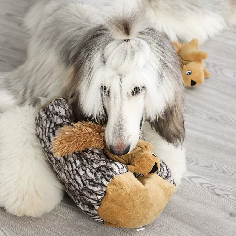 Squirrel Hide & Seek Dog Toy – Interactive Squeaky Plush Toy