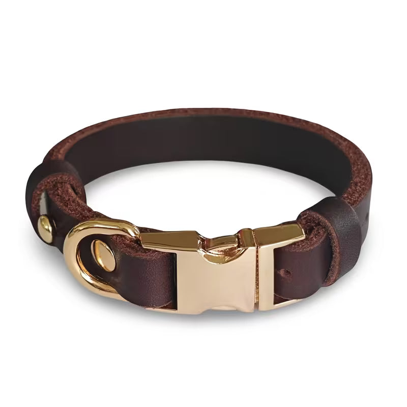 Dog Collar, 3 Sizes for Puppies/Small/Medium Dog,