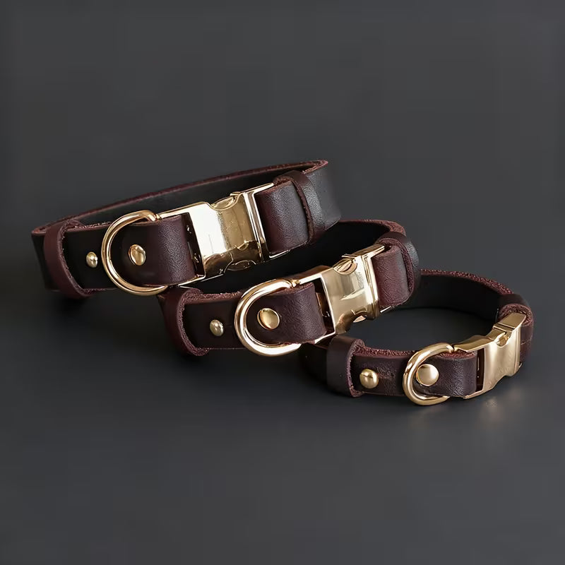 Dog Collar, 3 Sizes for Puppies/Small/Medium Dog,