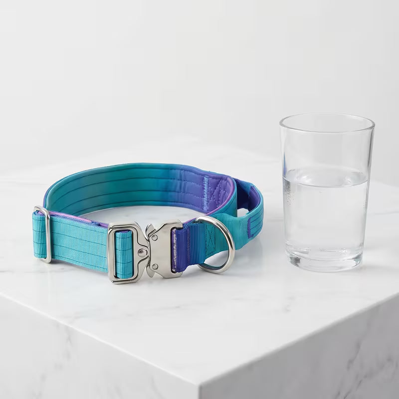 Blue Purple Gradient Tactical Dog Collar
