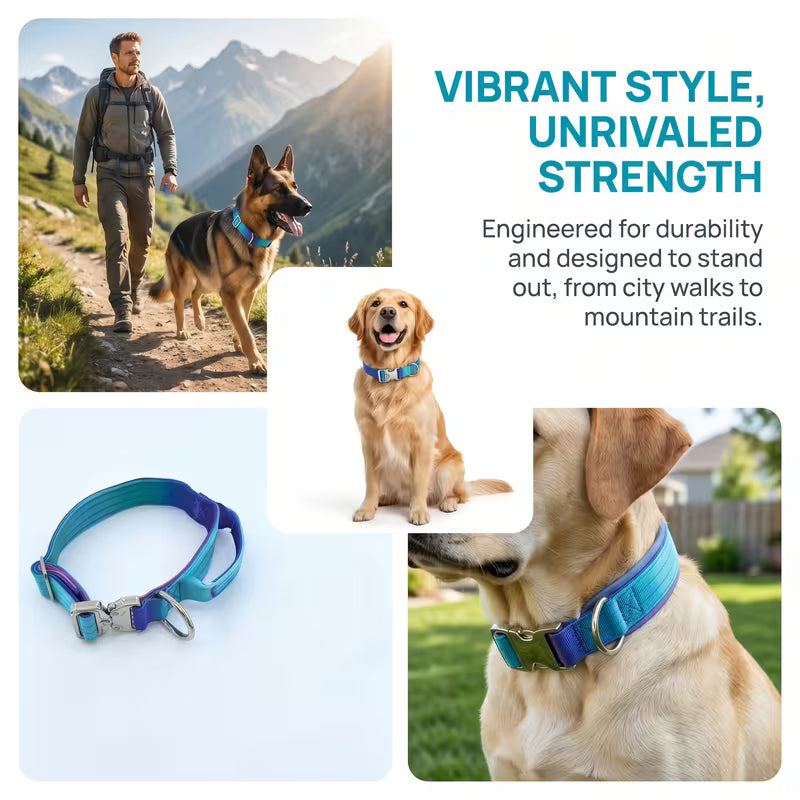 Blue Purple Gradient Tactical Dog Collar