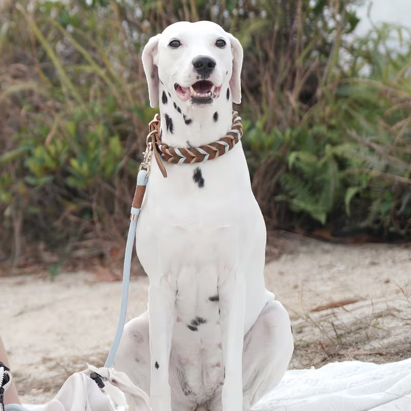 Hand-Woven Cowhide Dog Collar