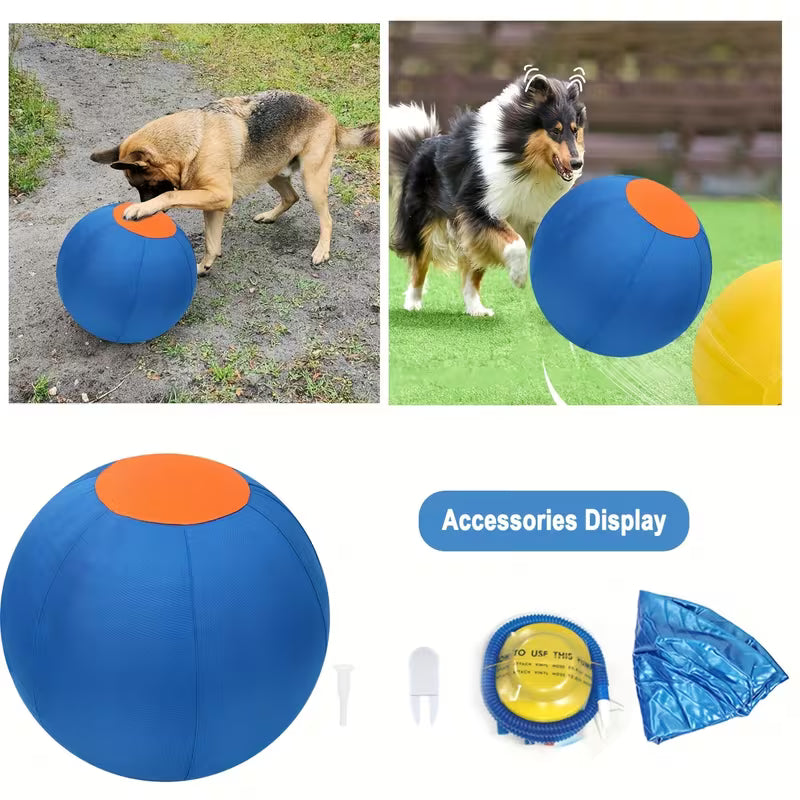 Dogs, Including Interactive Outdoor Toys Like Inflatable Balls for Training.