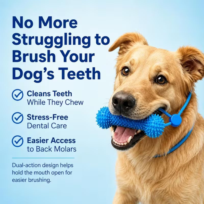 Dog Toy Dual-Effect Dental Cleaner Mouth Opener,