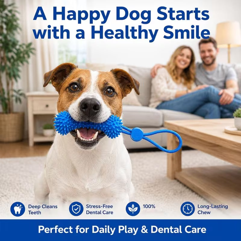 Dog Toy Dual-Effect Dental Cleaner Mouth Opener,
