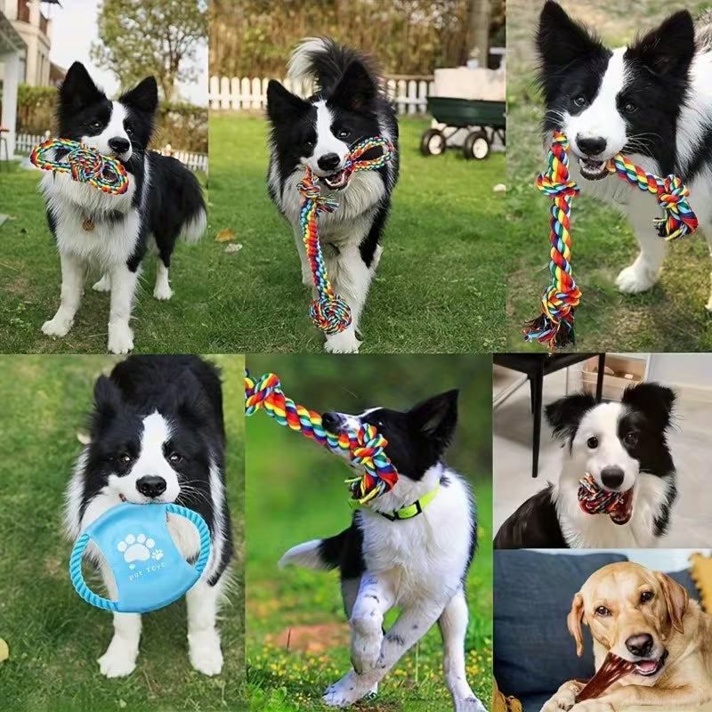 6 Pack Heavy Duty Dog Chew Toys for Large Dogs