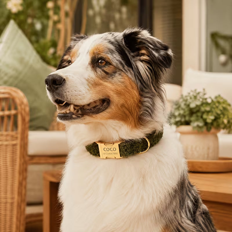 Dog Collar with Adjustable Soft & Warm Design,