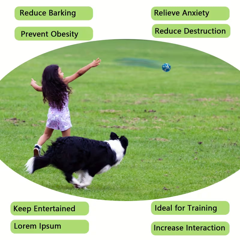 4pcs Durable Tennis Balls for Dogs – Bouncy Fetch Toys