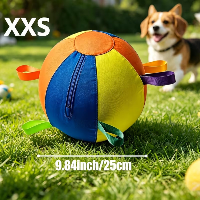 Dog Training & Interactive Fetch Balls – Indoor & Outdoor