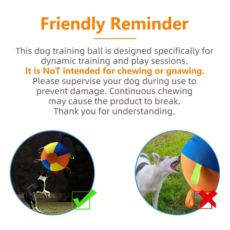 Dog Training & Interactive Fetch Balls – Indoor & Outdoor
